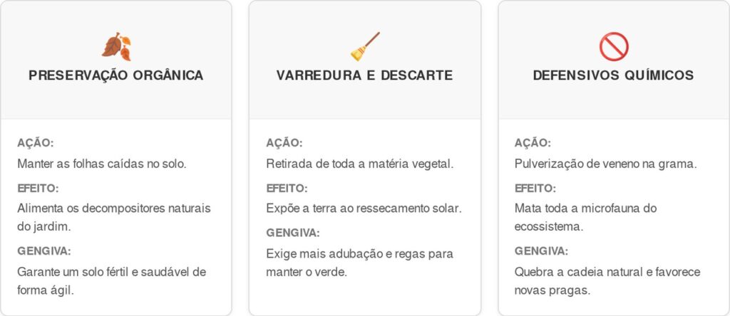 Insetos-secos-cart-1024x444 Se você ouvir estes estalos e quebras nas folhas secas do chão à noite, nós lhe contamos o que isso significa e por que é um bom sinal
