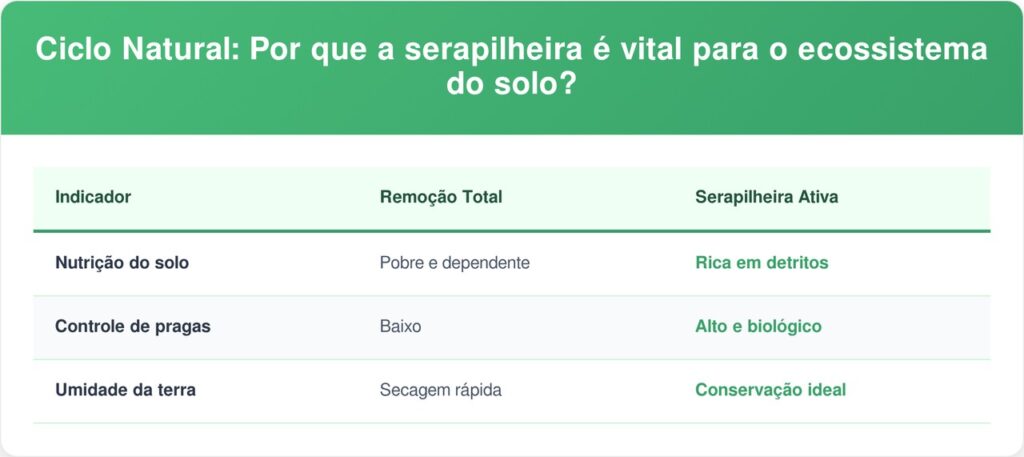 Insetos-secos-tabela-1024x457 Se você ouvir estes estalos e quebras nas folhas secas do chão à noite, nós lhe contamos o que isso significa e por que é um bom sinal
