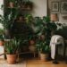 Sua sala é escura demais para plantas? Veja as 5 espécies que sobrevivem sem luz solar direta e transformam seu ambiente