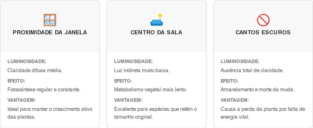 Locais-sem-luz-solar-direta-cart-1024x418 Sua sala é escura demais para plantas? Veja as 5 espécies que sobrevivem sem luz solar direta e transformam seu ambiente