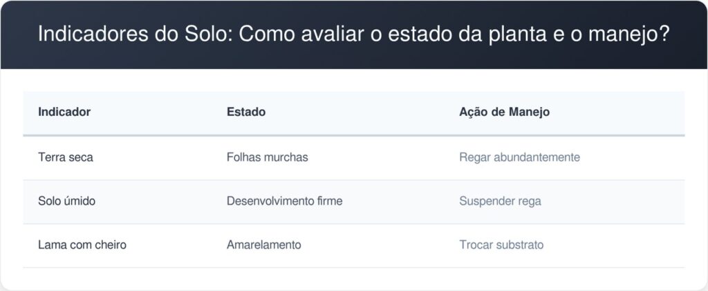 Locais-sem-luz-solar-direta-tabela-1024x422 Sua sala é escura demais para plantas? Veja as 5 espécies que sobrevivem sem luz solar direta e transformam seu ambiente