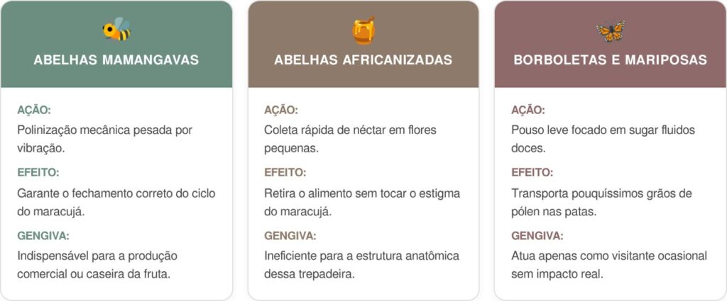 Mamangavas-cart-1024x425 Se você ouvir este zumbido grave rondando a flor do maracujá de manhã, nós lhe contamos o que isso significa e por que é um bom sinal