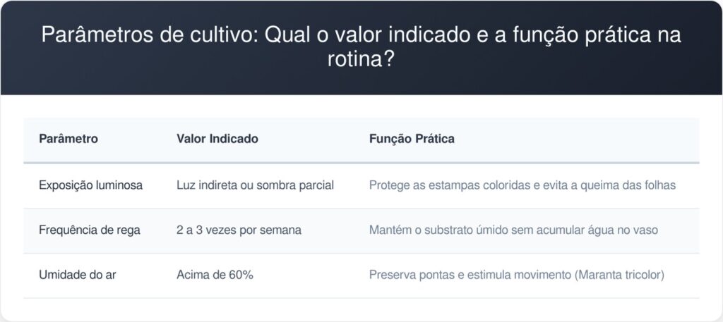 Maranta-tricolor-tabela-1024x457 Como limpar as folhas coloridas e otimizar a drenagem sem prejudicar o crescimento interno desta planta, segundo paisagistas