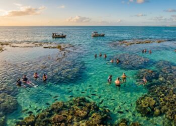 A 7 km da costa, o Caribe do Rio Grande do Norte revela piscinas naturais em pleno mar