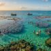 A 7 km da costa, o Caribe do Rio Grande do Norte revela piscinas naturais em pleno mar