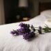 Borrifar água com gotas de óleo essencial de lavanda no travesseiro uma vez por semana: para que serve e quais são os seus benefícios?