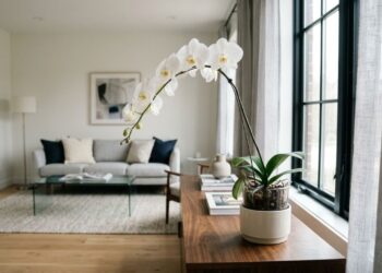 Por que a orquídea phalaenopsis não floresce dentro de casa e qual é o papel da variação térmica noturna