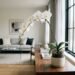 Por que a orquídea phalaenopsis não floresce dentro de casa e qual é o papel da variação térmica noturna
