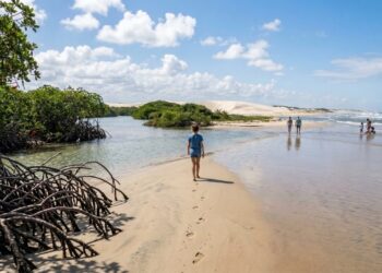 A 1ª rota ecoturística do litoral leste fica a 430 km de São Luís e abriga 70% do único delta oceânico das Américas com um navio de 1981
