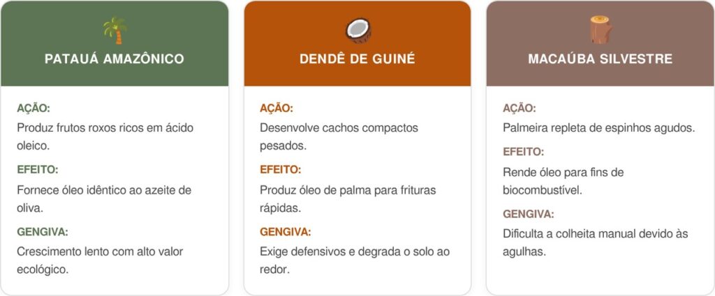 Pataua-cart-1024x425 A fruta da mata que tem cor roxa brilhante e sabor de azeite de oliva suave e que poucos brasileiros conhecem
