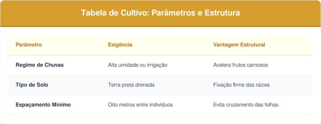 Pataua-tabela-1024x396 A fruta da mata que tem cor roxa brilhante e sabor de azeite de oliva suave e que poucos brasileiros conhecem