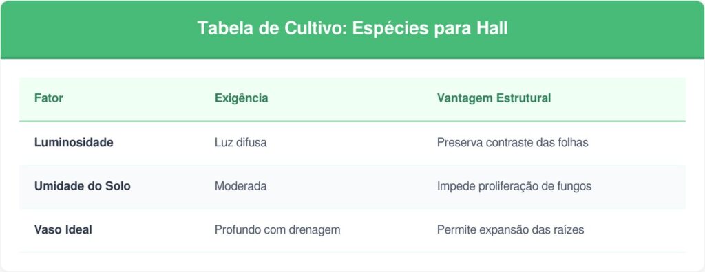 Pau-dagua-tabela-1024x396 A planta tropical mais listrada para cultivar no hall de entrada: como cuidar e fazer esta folhagem soltar brotos laterais
