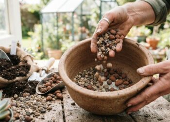 Colocar pedras no fundo do vaso ou usar manta de drenagem: veja a diferença e qual é o jeito certo para não sufocar a planta, segundo especialistas