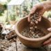 Colocar pedras no fundo do vaso ou usar manta de drenagem: veja a diferença e qual é o jeito certo para não sufocar a planta, segundo especialistas