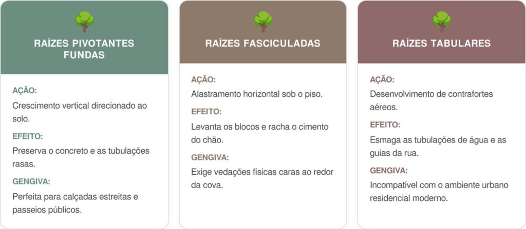 Raizes-pivotantes-cart-1024x447 3 árvores de raízes pivotantes fundas que não danificam o piso superficial, perfeitas para calçadas com tubulação rasa
