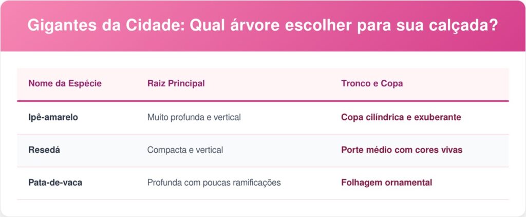 Raizes-pivotantes-tabela-1024x422 3 árvores de raízes pivotantes fundas que não danificam o piso superficial, perfeitas para calçadas com tubulação rasa