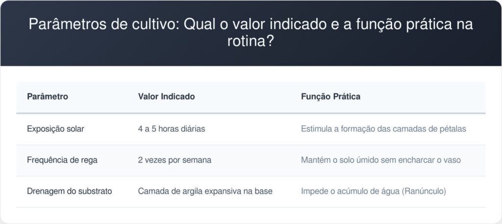 Ranunculo-tabela-1024x457 Adeus, botões murchos: nova rotina de cultivo no inverno salva seus ranúnculos, evita o acúmulo de água e garante pétalas firmes, segundo jardineiros