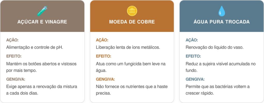 Regar-as-plantas-cart-1024x399 Não jogue o buquê no vaso sem antes cortar as pontinhas do caule: essa é a maneira correta de podar do jeito certo para a flor beber toda a água e não morrer logo