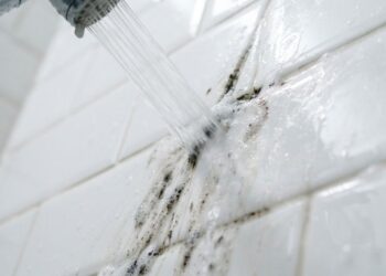 Adeus, rejunte encardido na área do box: nova aplicação de cloro em gel direto na junta mata o mofo de vez e vira tendência, segundo diaristas