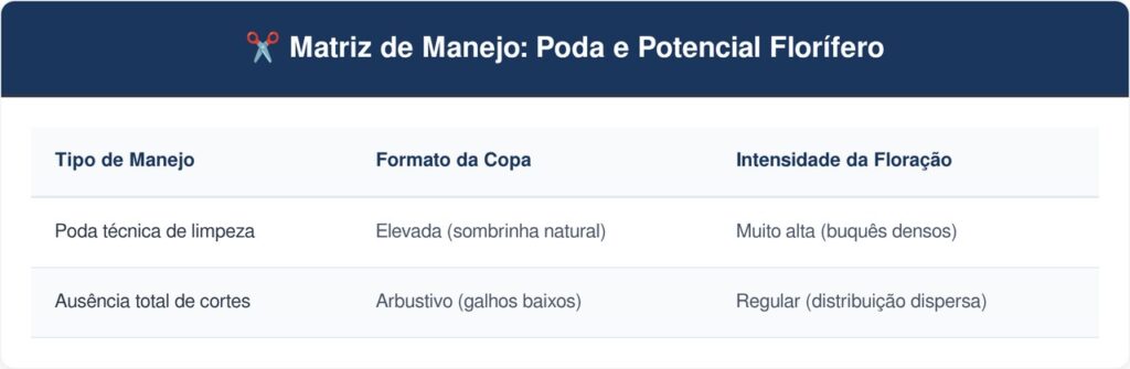 Reseda-tabela-1024x335 Essa árvore é ideal para a entrada da sua casa: não racha o piso, proporciona sombra e dá buquês de flores crespas lindas