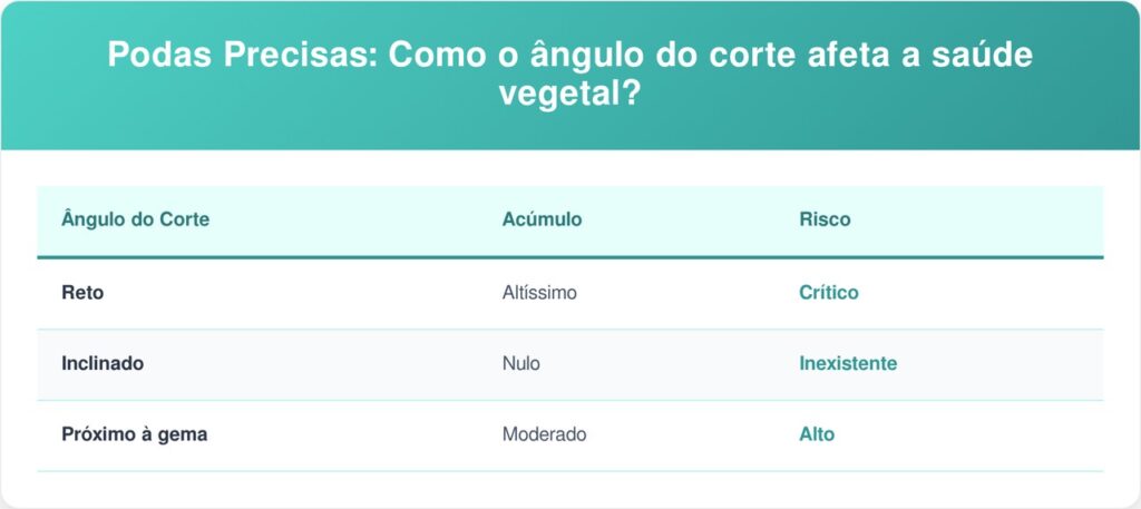 Roseiras-tabela-1024x457 Como podar roseiras corretamente para evitar doenças e garantir flores saudáveis?