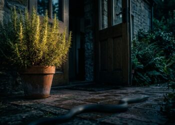 A planta que afasta cobras, protege o lar e ainda perfuma o ambiente