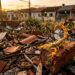 Jardineiros fazem apelo para que ninguém mais jogue resto de obra no terreno baldio: o entulho virou maternidade do predador noturno mais temido da cidade