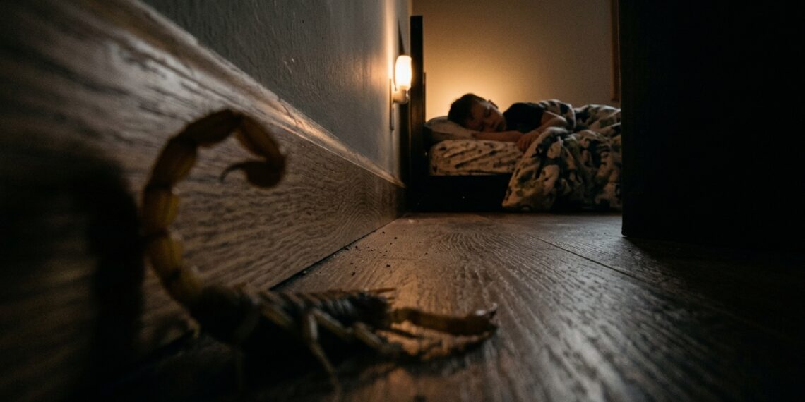 Antes de culpar o mato do vizinho, veja os 5 hábitos seus que atraem escorpiões para dentro de casa