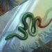 A serpente que consegue escalar superfícies perfeitamente lisas
