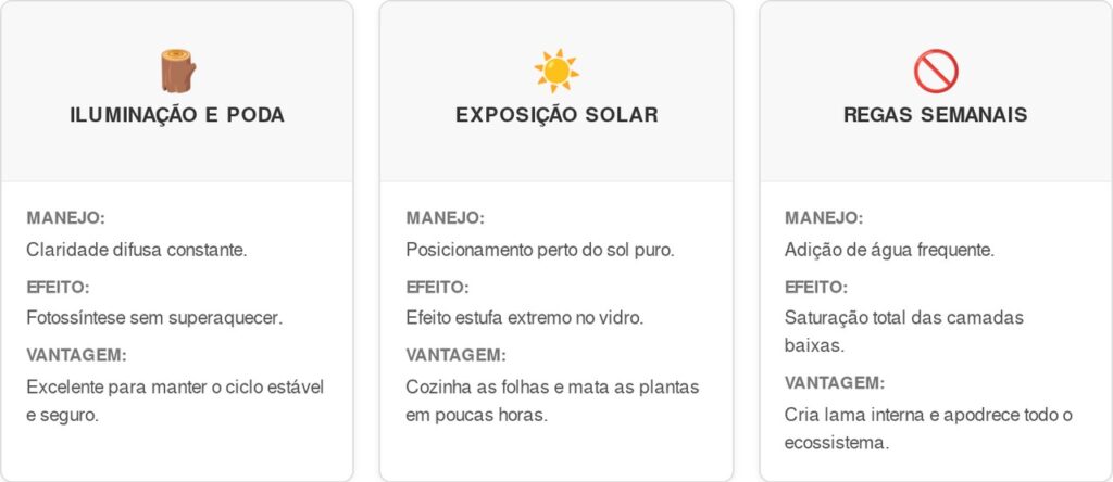 Terrario-fechado-cart-1024x444 Como montar um terrário fechado que vive por anos sem precisar de manutenção? O guia prático das camadas físicas que ninguém te contou