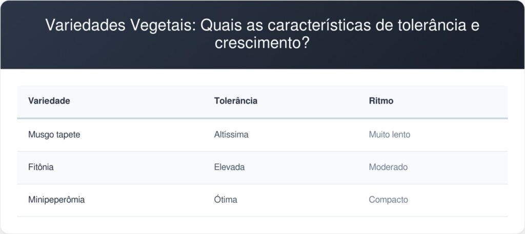 Terrario-fechado-tabela-1024x457 Como montar um terrário fechado que vive por anos sem precisar de manutenção? O guia prático das camadas físicas que ninguém te contou