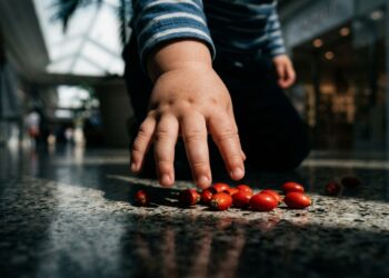 Pais desesperados: a sementinha vermelha dessa palmeira de shopping é a principal causa de sufocamento e morte súbita em crianças pequenas.