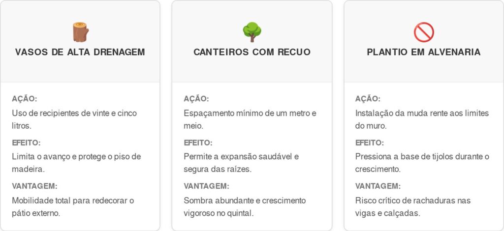 Uvaia-cart-1024x470 Essa árvore é ideal para o quintal compacto: não racha o piso, proporciona sombra e dá frutinhas amarelas que perfumam o ar