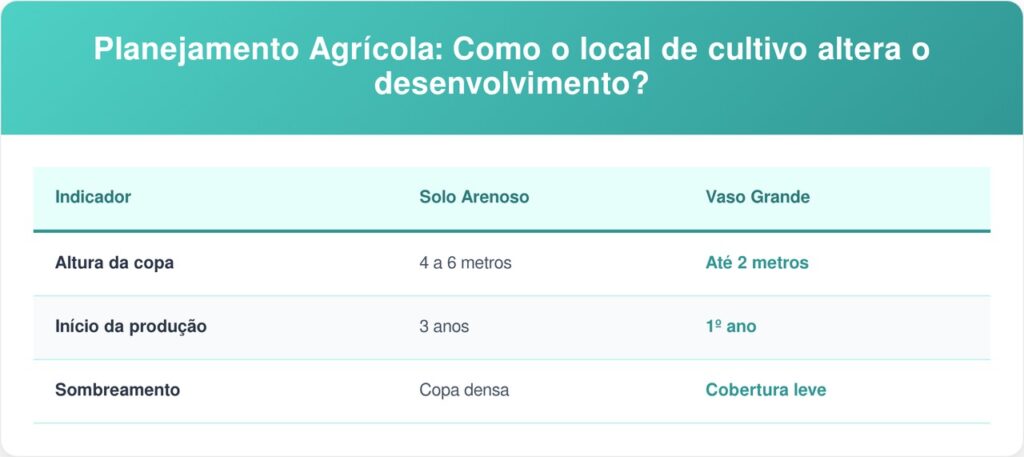 Uvaia-tabela-1024x457 Essa árvore é ideal para o quintal compacto: não racha o piso, proporciona sombra e dá frutinhas amarelas que perfumam o ar