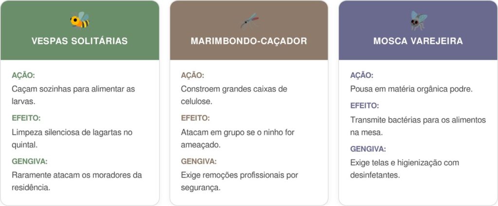 Vespas-solitarias-cart-1024x425 Se você encontrar estes insetos voadores carregando barro para um buraco, nós lhe diremos o que isso significa e por que é algo bom