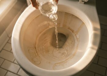 Antes de chamar um encanador, saiba o que vinagre + bicarbonato faz no seu vaso entupido