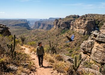 A única casa da arara-azul-de-lear no mundo e um território de 38 mil km²: o gigante destino baiano no Raso da Catarina