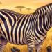 Cada zebra é diferente: por que filhotes aprendem o padrão de listras da mãe logo após nascer