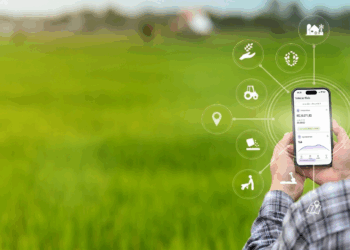 Gestão na nuvem conecta o agro ao bem-estar