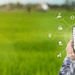 Gestão na nuvem conecta o agro ao bem-estar