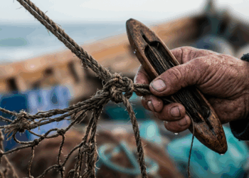 Provérbio japonês do dia: "Depois da tempestade, o pescador conserta a rede..."
