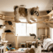 “O playground é meu também!”: shih tzus criadas com dezenas de gatos agem como felinas e sobem até em passarelas