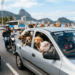 Cena inusitada no Rio: adestrador leva porco e mais de 10 cães em Celta e surpreende motoristas
