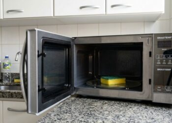 Por que colocar a esponja úmida por um minuto no micro-ondas é melhor para eliminar bactérias do que apenas lavá-la na pia, segundo microbiologista