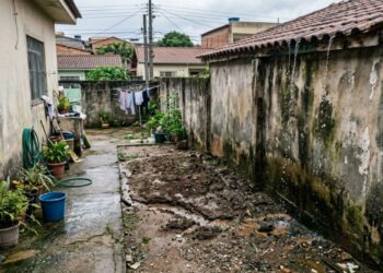 Um vizinho constrói um telhado sem calha que despeja toda a água da chuva diretamente no terreno ao lado, causando alagamento e erosão, e é condenado a refazer a obra e indenizar os prejuízos com base nas regras de águas do Código Civil