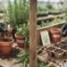 Plantando alecrim por estaca ou por semente: veja a diferença e qual é o jeito mais rápido de ter um pé cheio na cozinha, segundo especialistas
