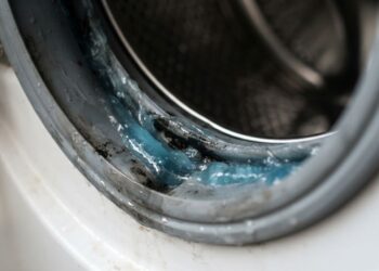 Adeus, mofo acumulado nas borrachas da máquina de lavar: nova limpeza profunda com alvejante em gel resolve o problema e vira febre, segundo técnicos