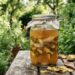 Despejar uma solução de água com cascas de abacaxi fermentadas no solo das fruteiras uma vez por mês: para que serve e quais são os seus benefícios reais de micronutrientes?