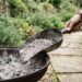 Se você tem cinzas de churrasqueira sem sal em casa, você tem um tesouro: por que e para que usá-las para adubar árvores frutíferas