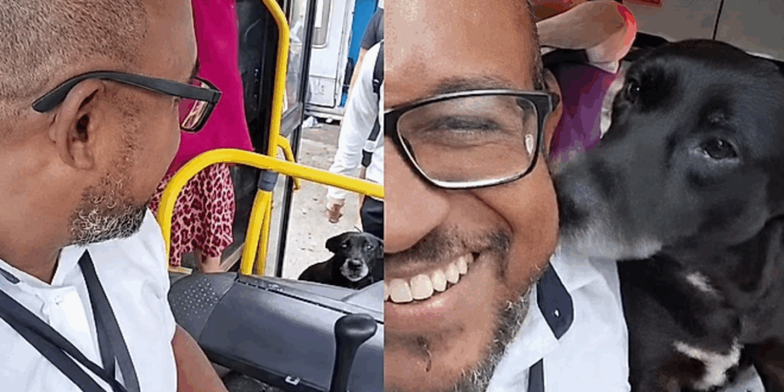 Pretinha: a cadela comunitária que transforma a rotina de um motorista em puro amor todos os dias